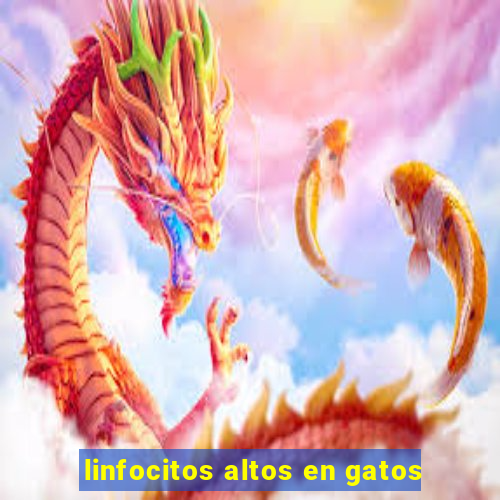 linfocitos altos en gatos