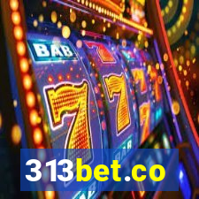 313bet.co