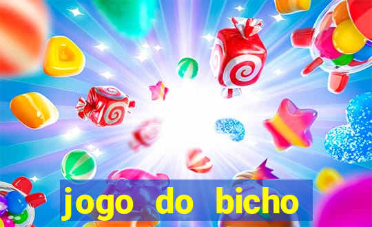 jogo do bicho crash bingo