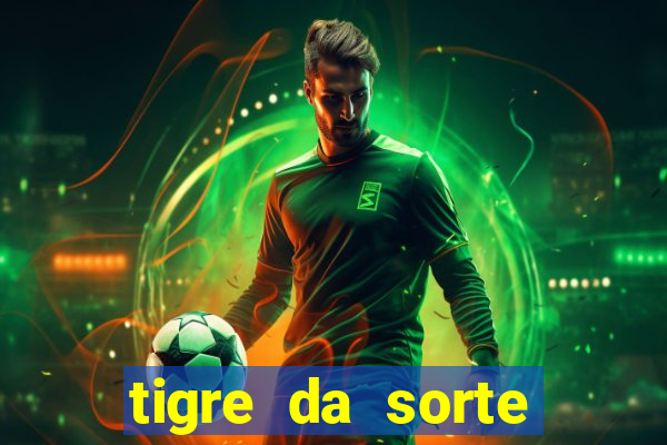 tigre da sorte fortune tiger 2 demo