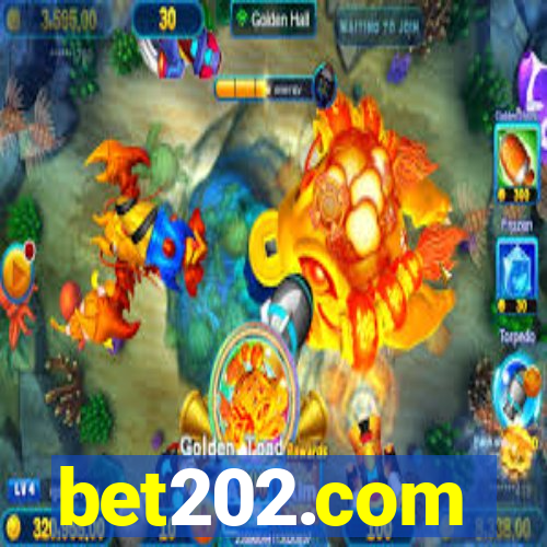 bet202.com