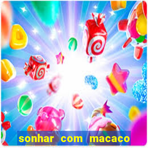 sonhar com macaco o que significa