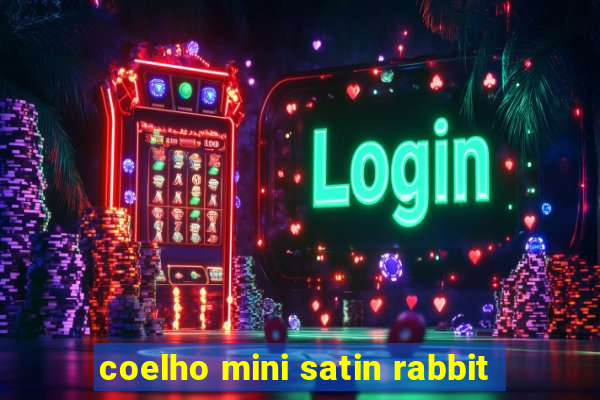 coelho mini satin rabbit