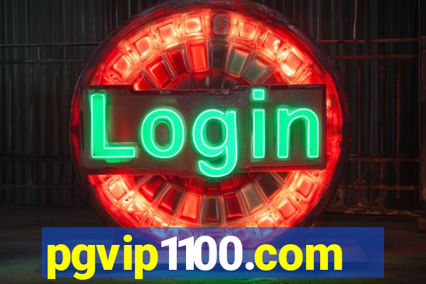 pgvip1100.com