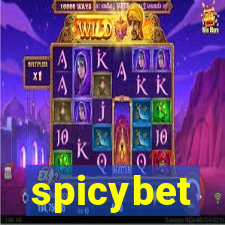 spicybet-3.com